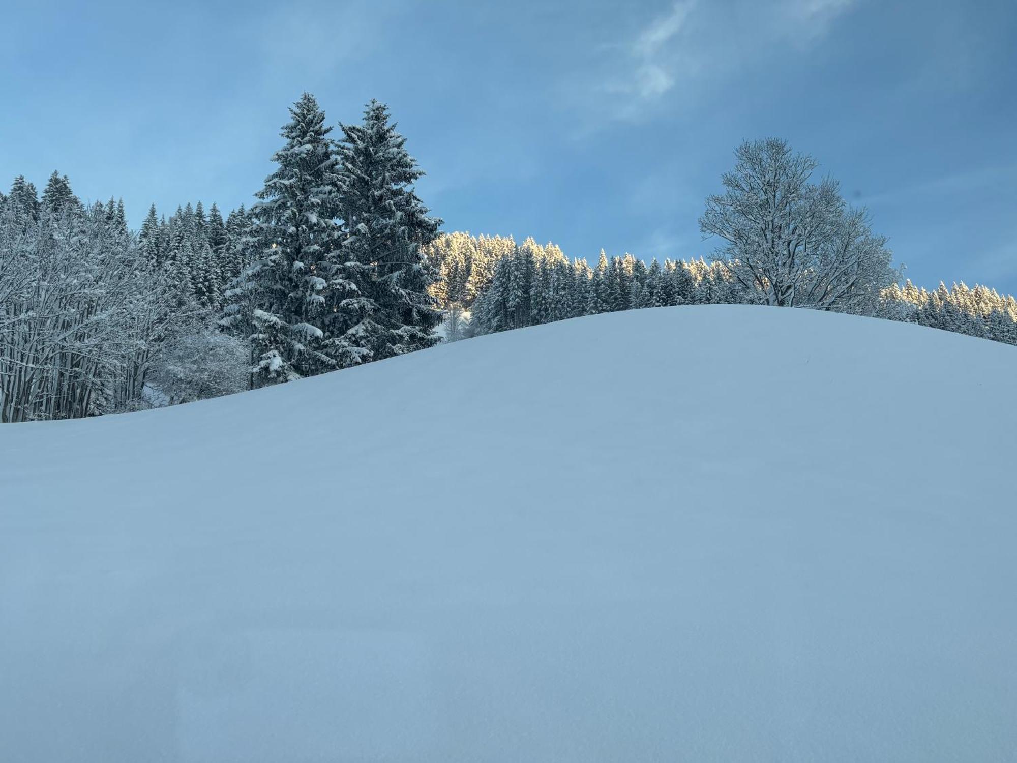 Apartamento Grossbergblick Filzmoos Exterior foto